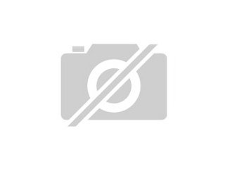 Suche Einfachpedalharfe/ Volksharfe
